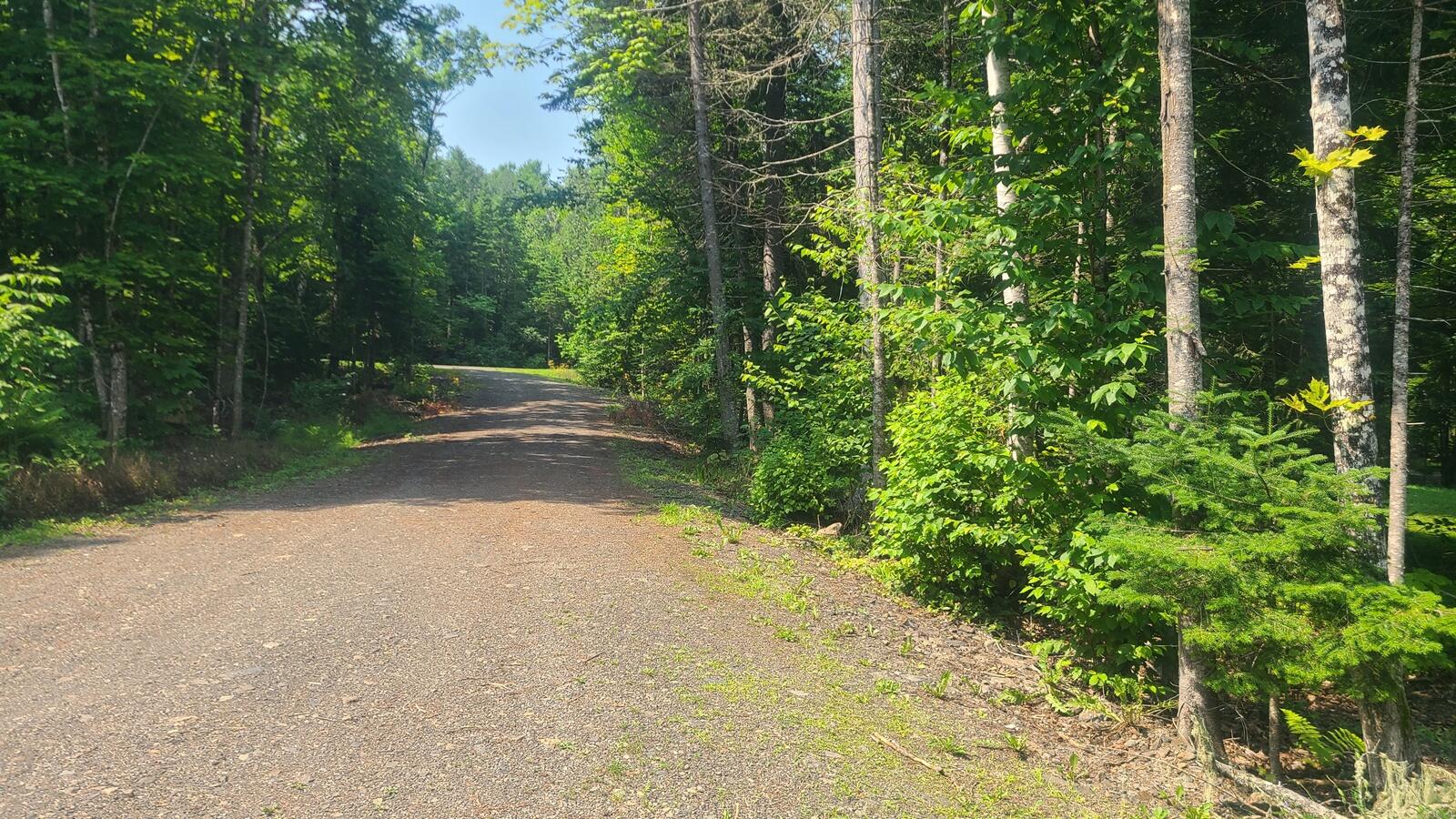 792 West Road Portage Lake ME 04768