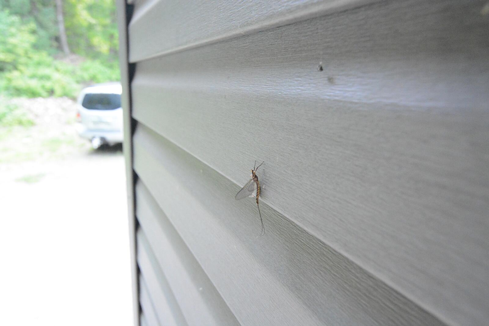 792 West Road Portage Lake ME 04768