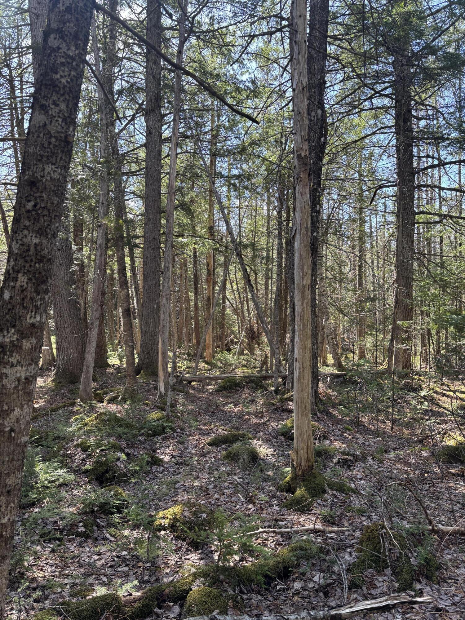 86 Mccrillis Brook Road Bethel ME 04219