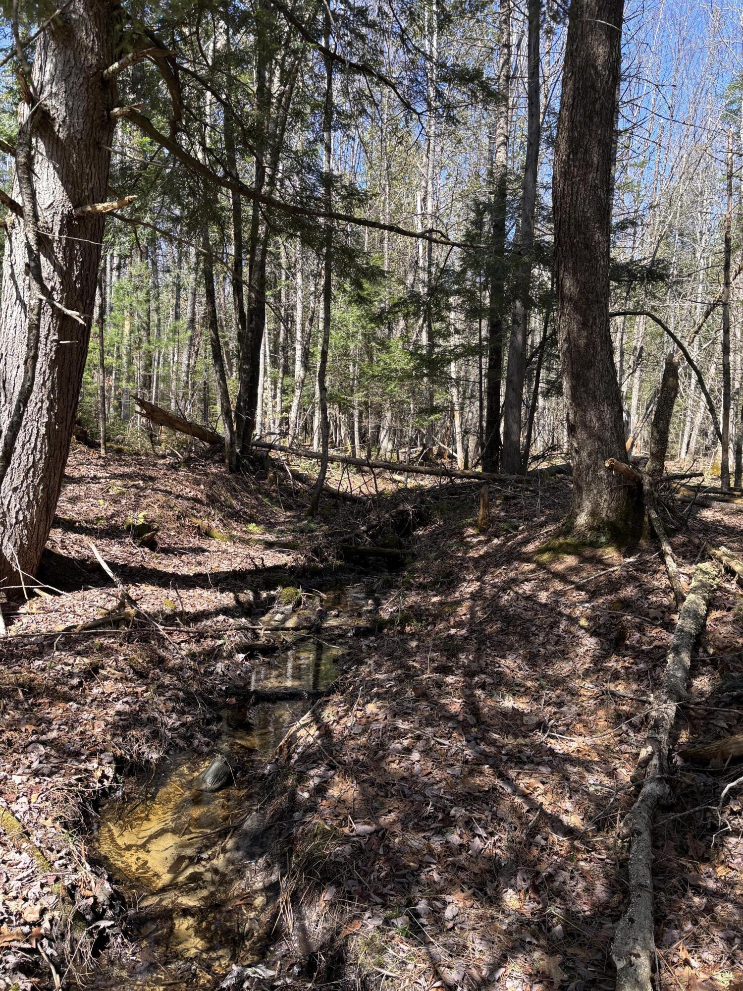 86 Mccrillis Brook Road Bethel ME 04219