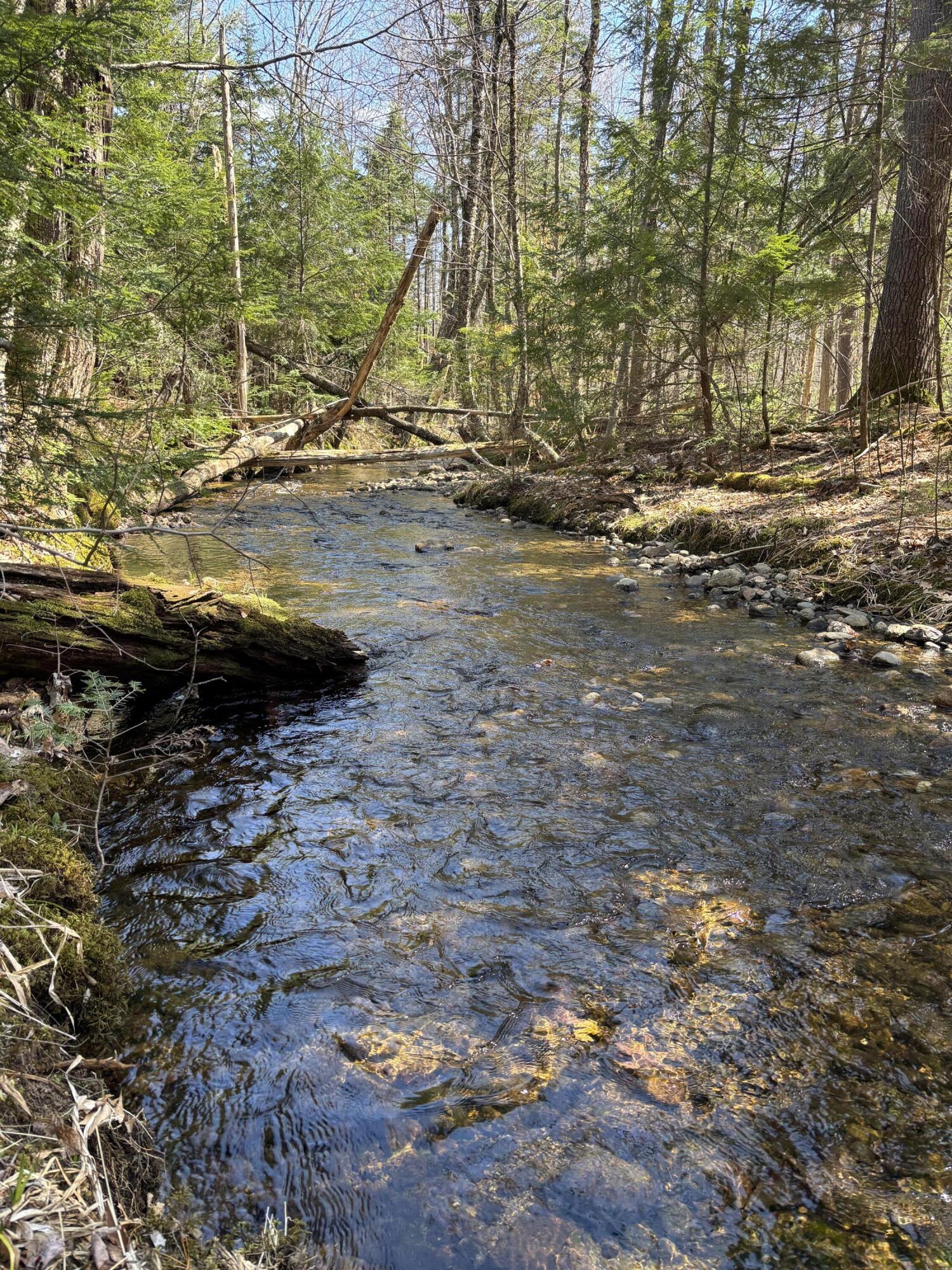 86 Mccrillis Brook Road Bethel ME 04219