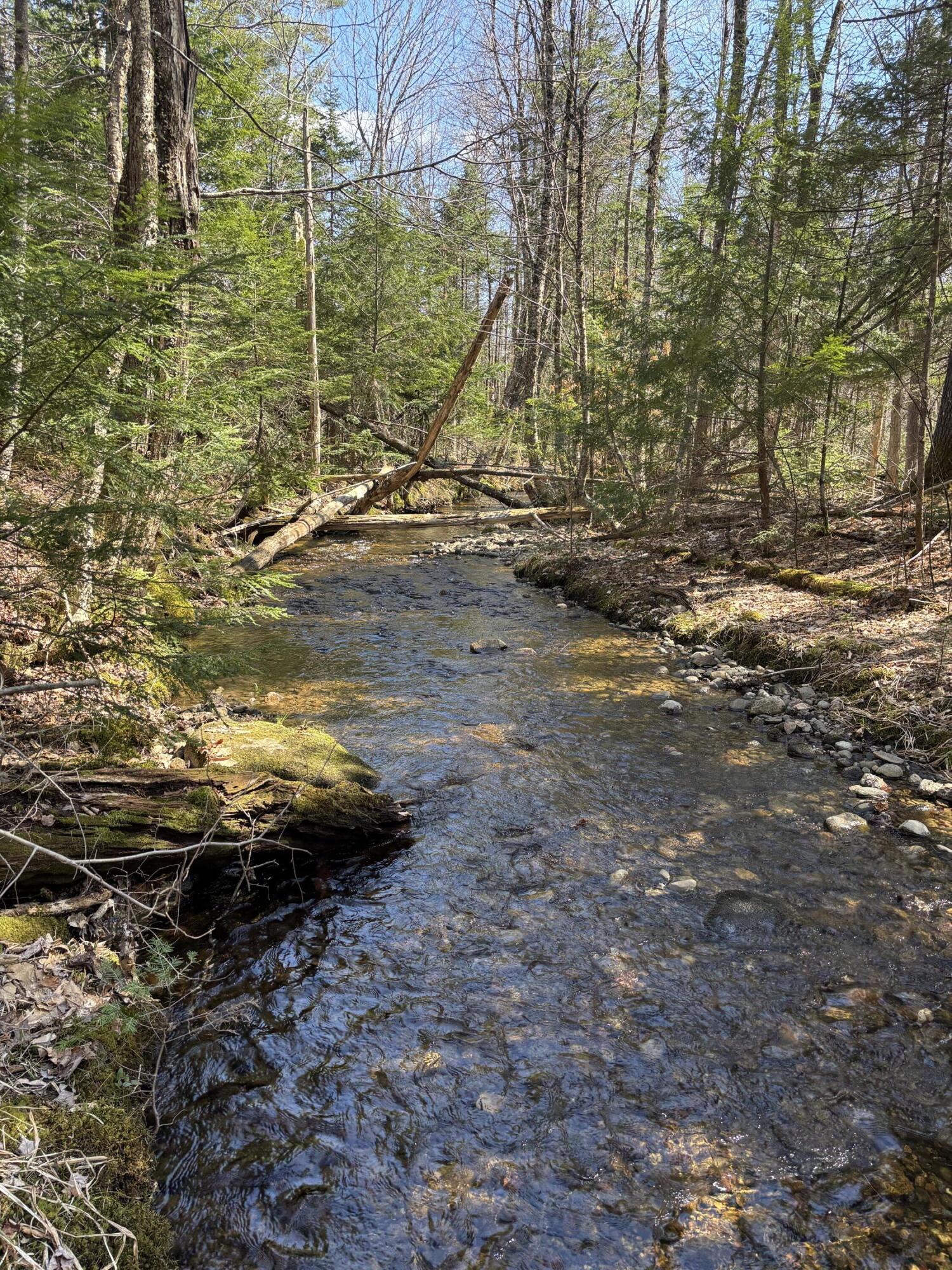 86 Mccrillis Brook Road Bethel ME 04219