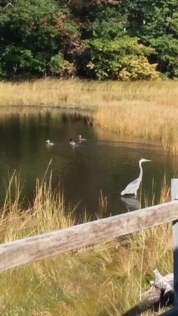 10 Seaside Avenue Saco ME 04072