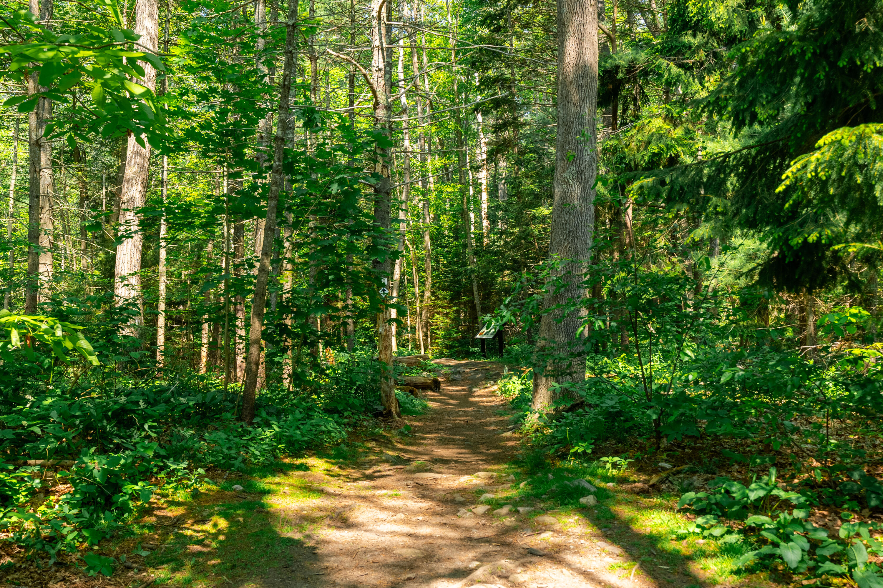 1157 Shore Road Cape Elizabeth ME 04107