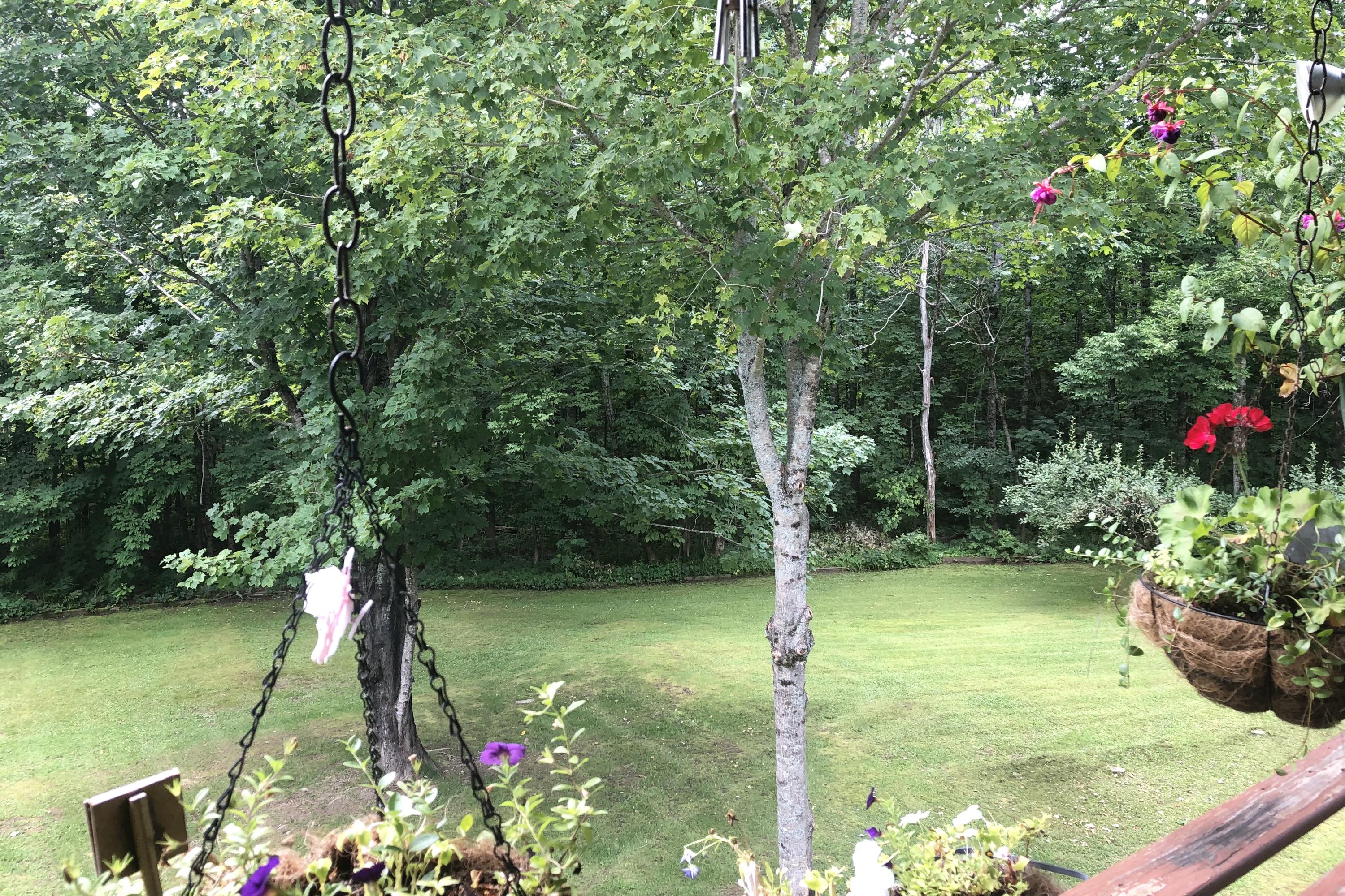 137 Lawrence Street Dover-foxcroft ME 04426