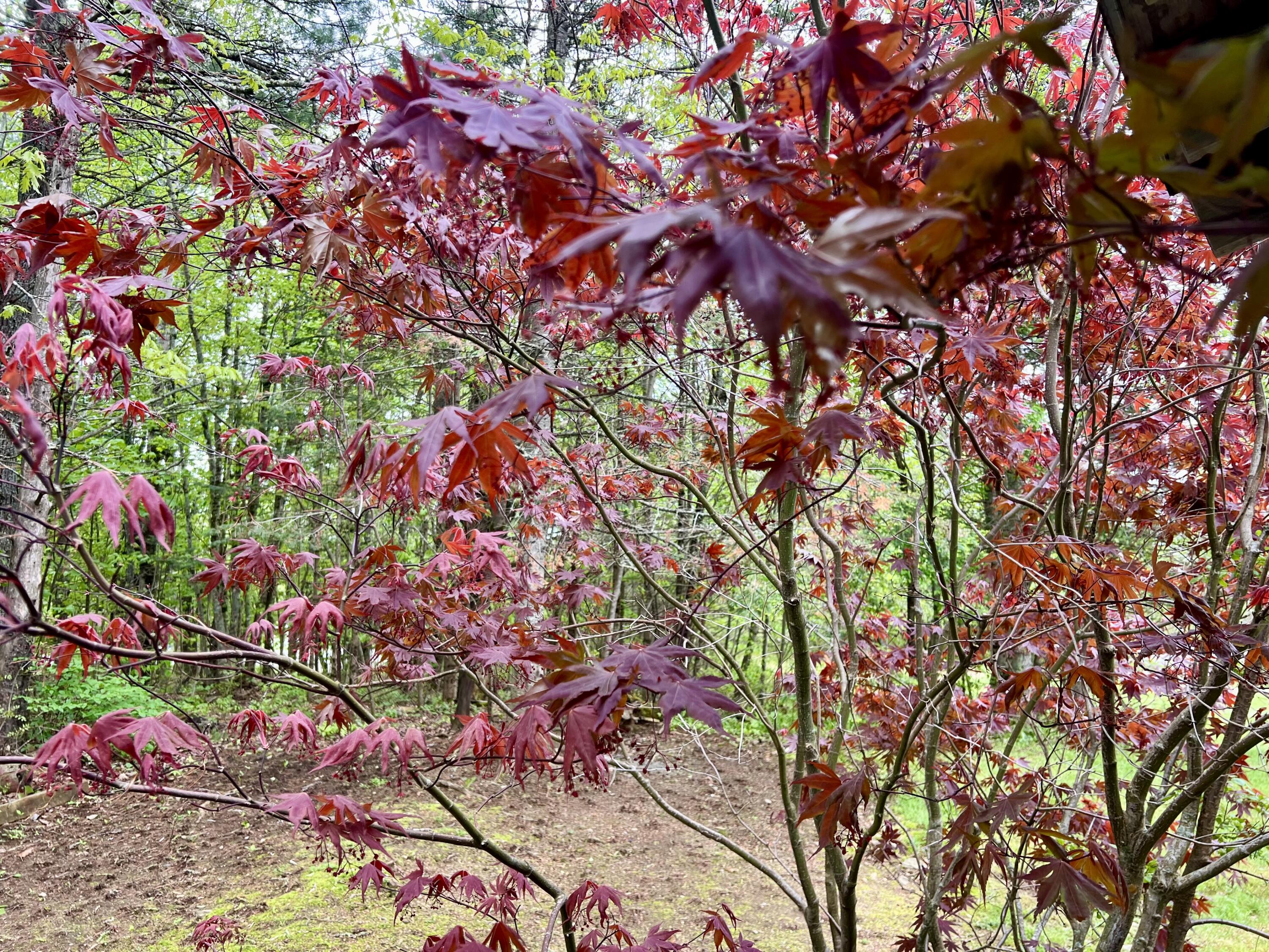 517 Bog Road Jackson ME 04921