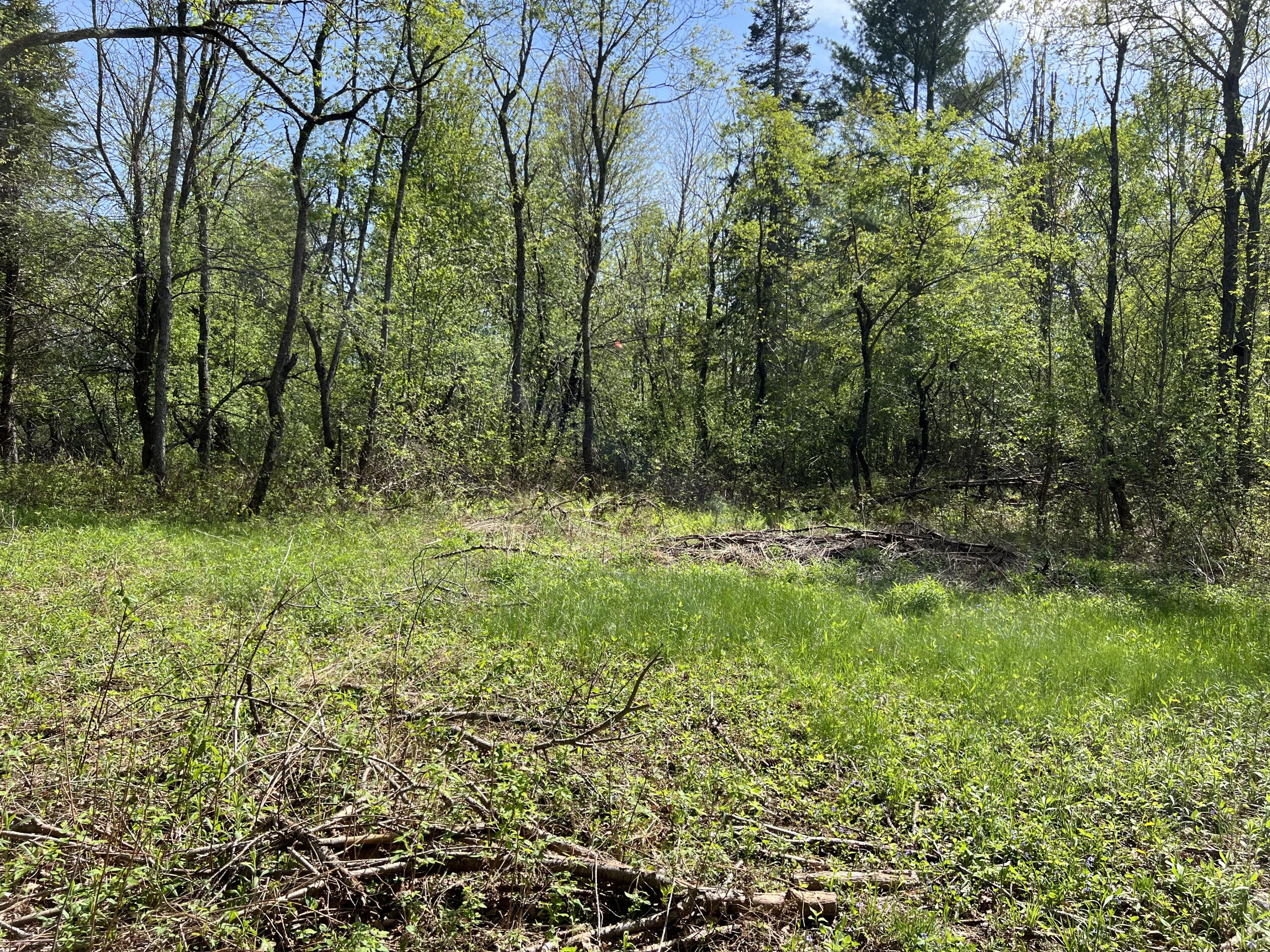 517 Bog Road Jackson ME 04921