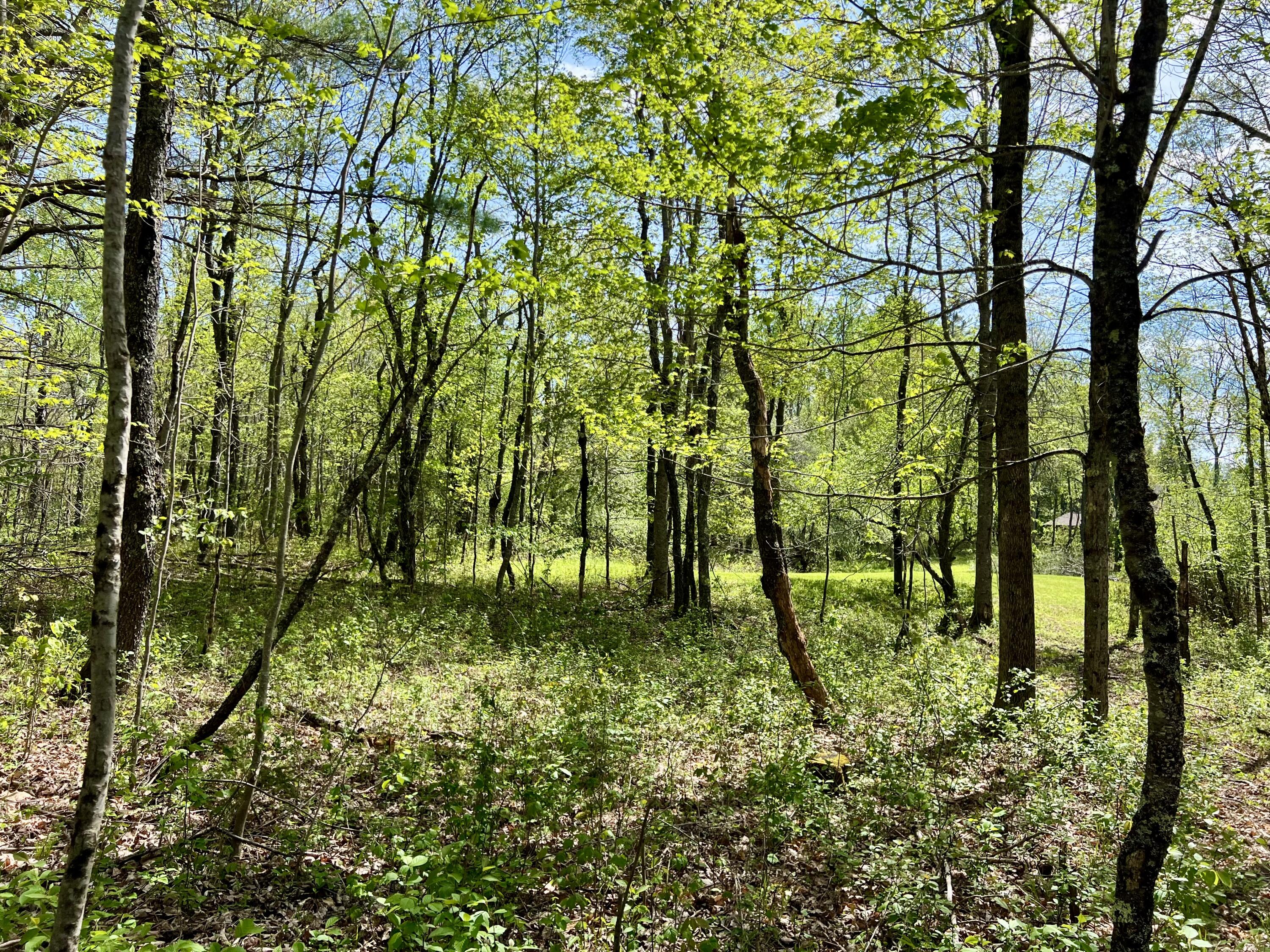 517 Bog Road Jackson ME 04921
