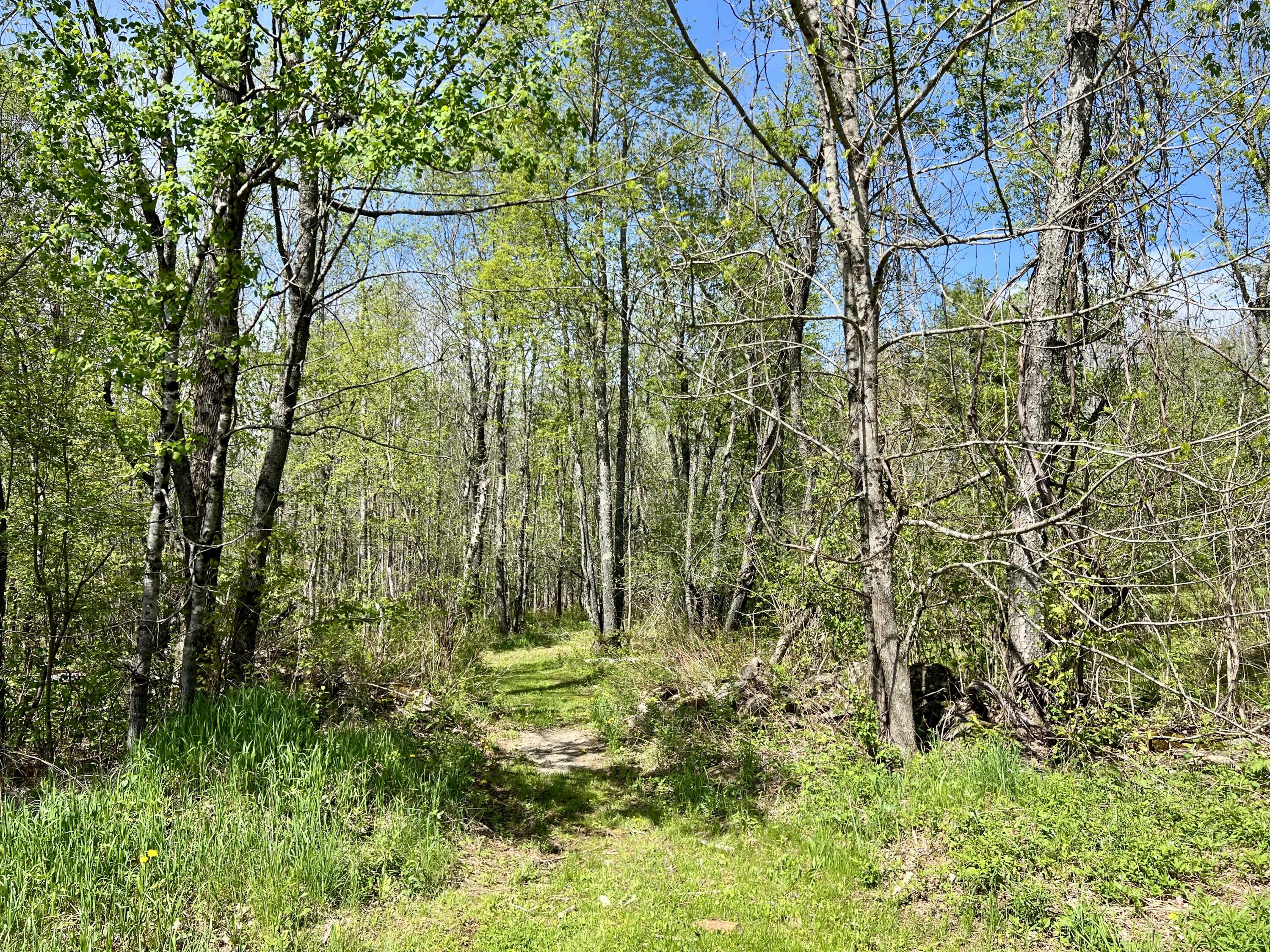 517 Bog Road Jackson ME 04921