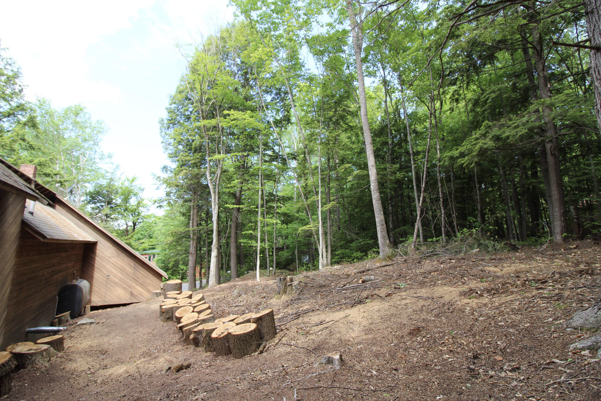 113 Bird Hill Road Bethel ME 04217