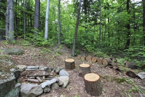 113 Bird Hill Road Bethel ME 04217