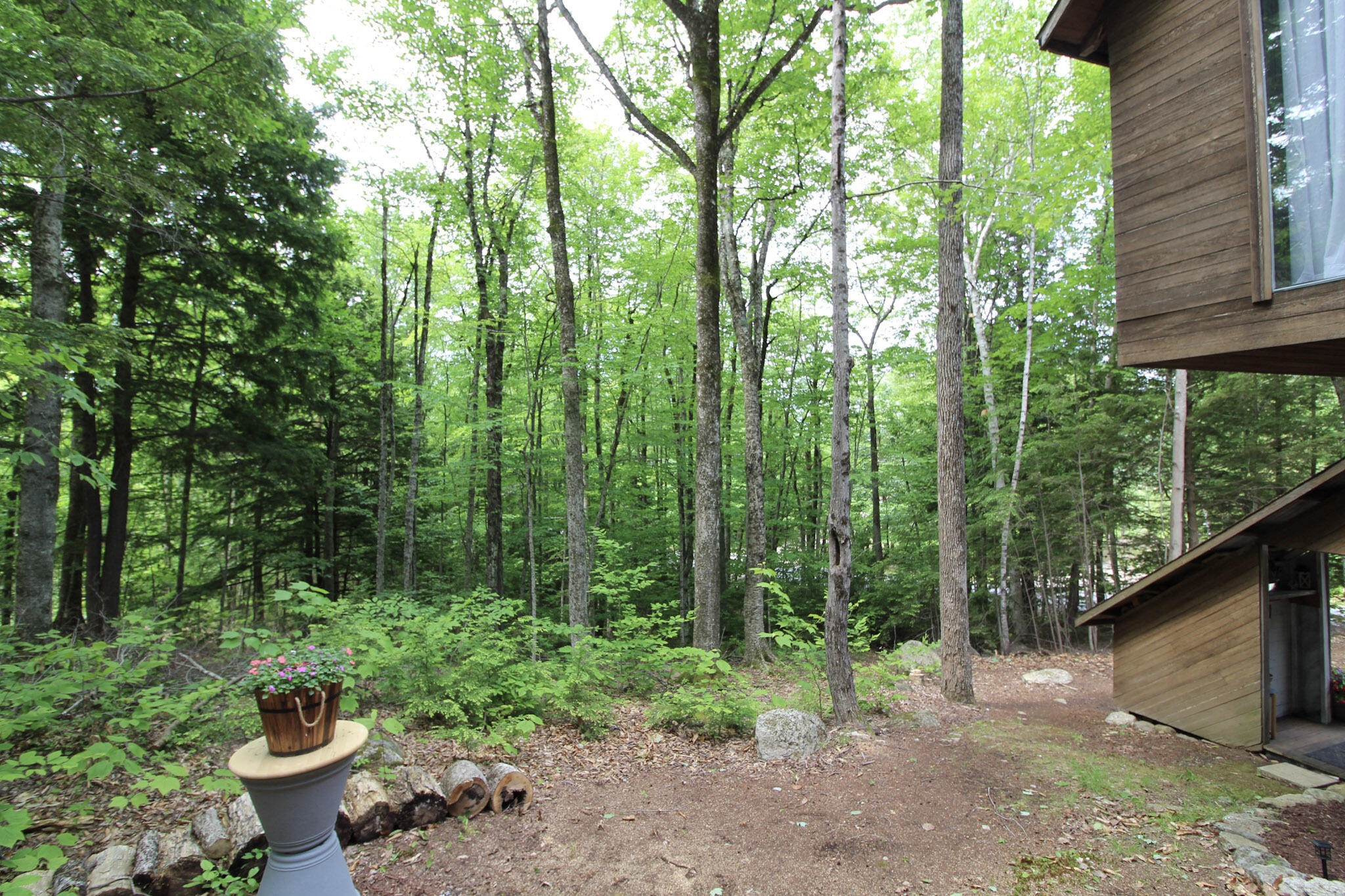 113 Bird Hill Road Bethel ME 04217