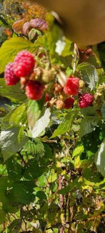 34 Highview Avenue Hancock ME 04640