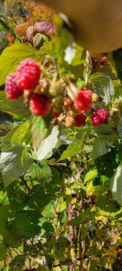 34 Highview Avenue Hancock ME 04640