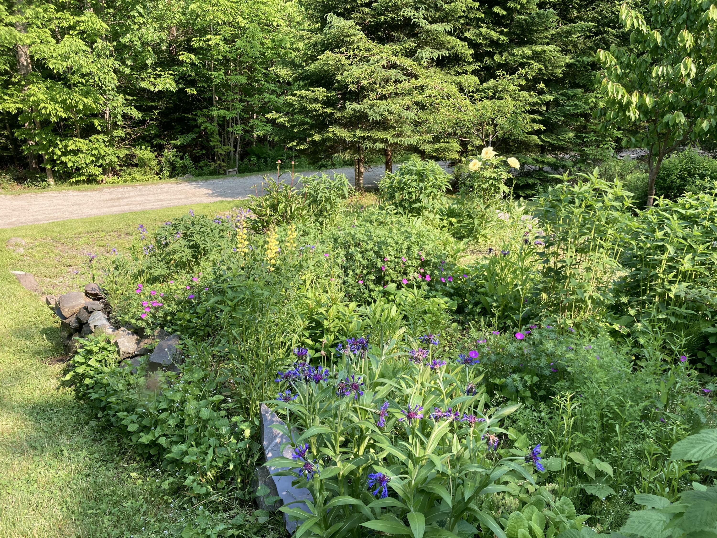 34 Highview Avenue Hancock ME 04640