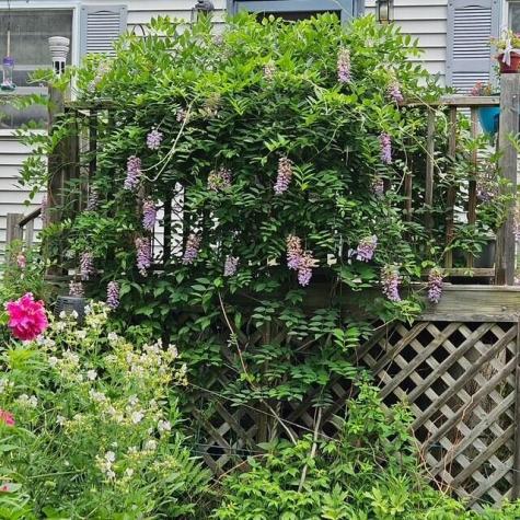 34 Highview Avenue Hancock ME 04640