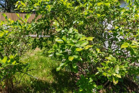 48 Hall Street South Portland ME 04106