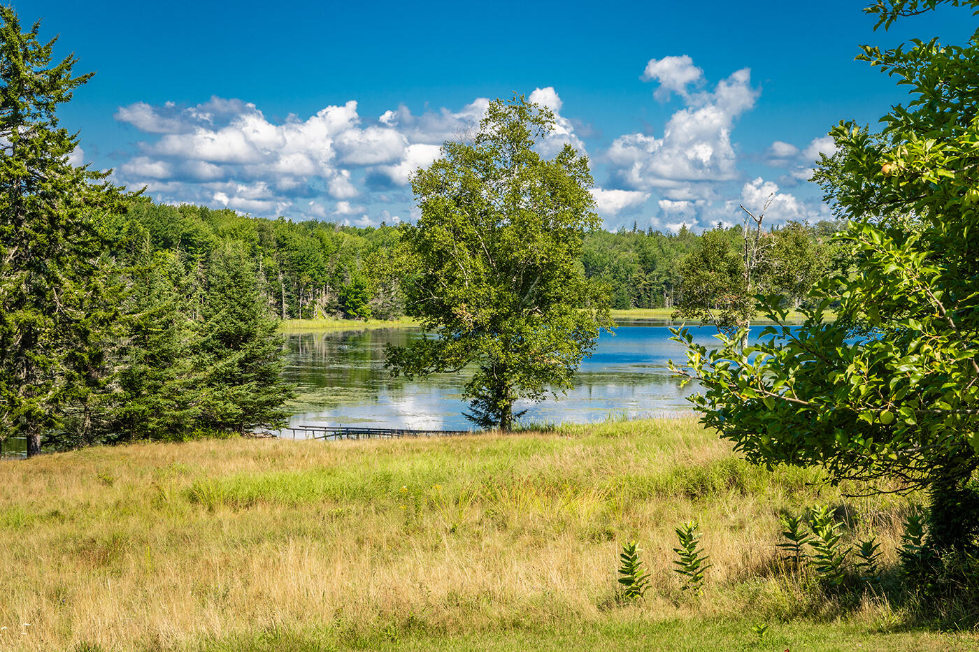 1052 Meadow Pond Road Islesboro ME 04848