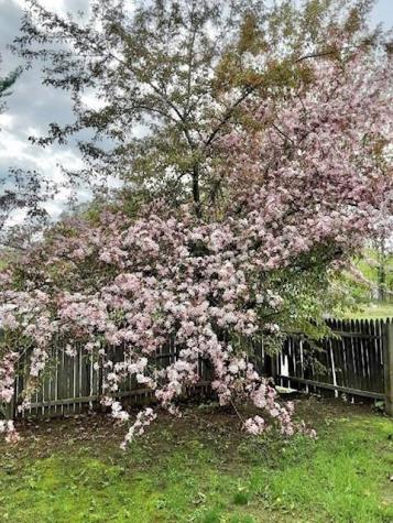 42 Erchles Street Rumford ME 04276