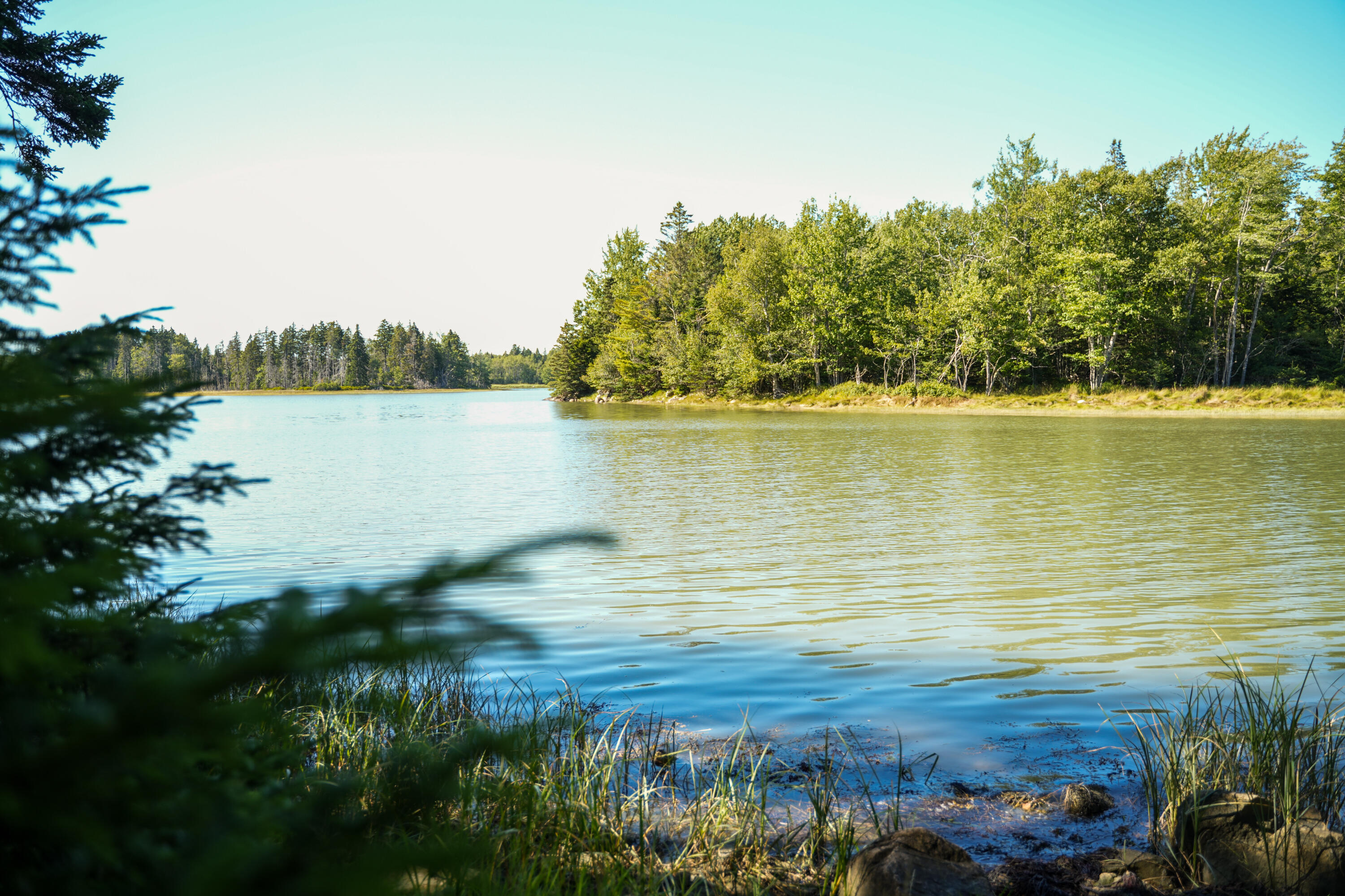 45 Missy Way Steuben ME 04680