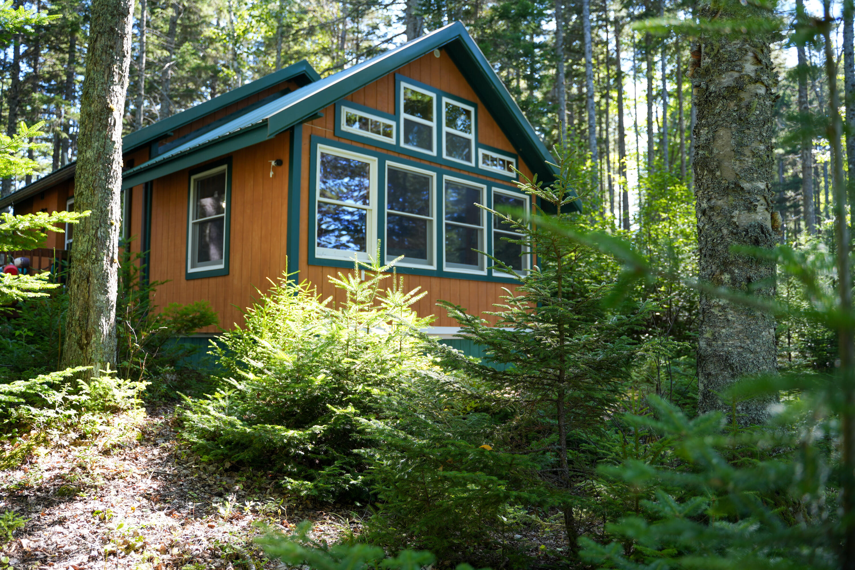 45 Missy Way Steuben ME 04680