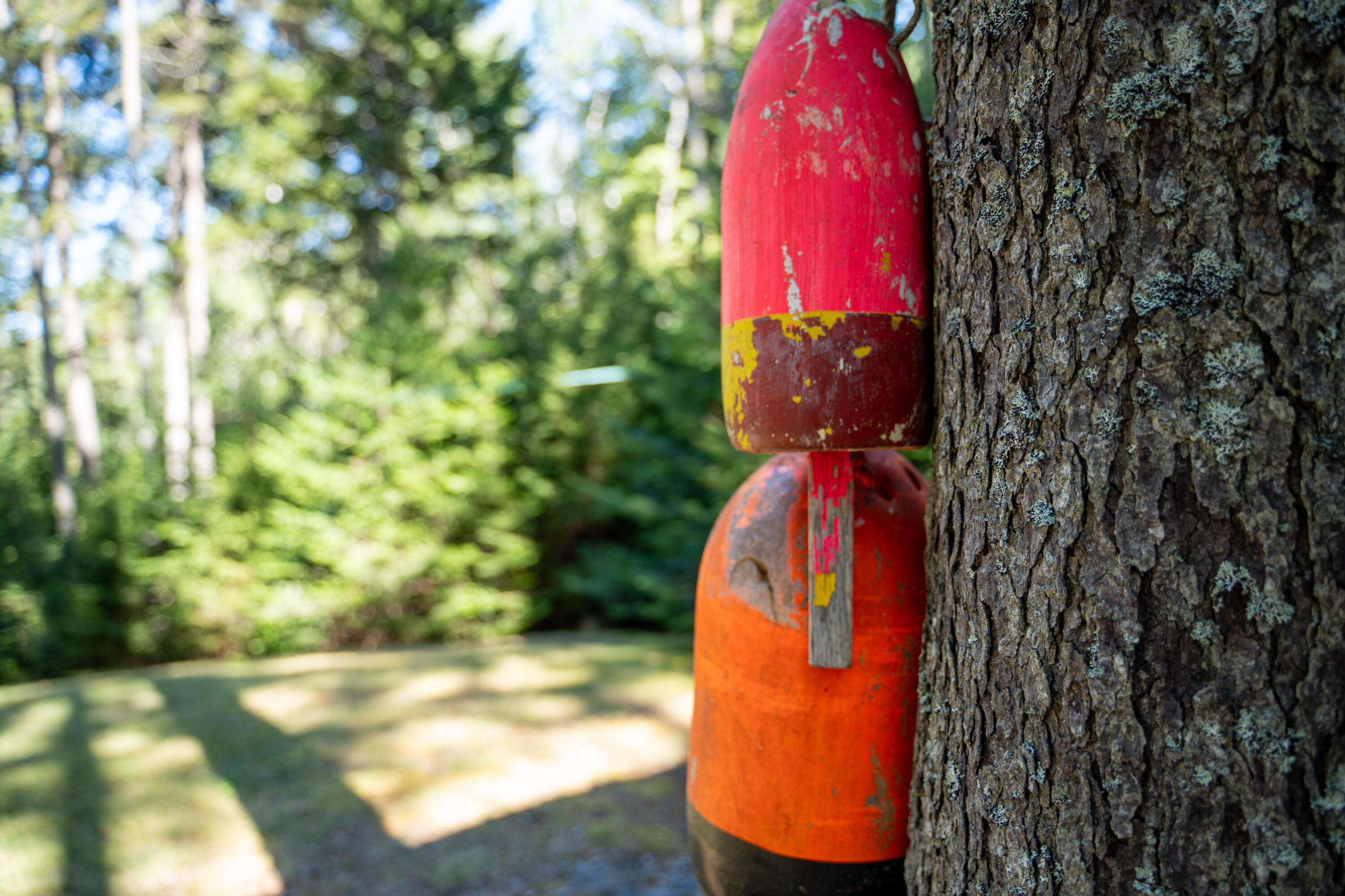 45 Missy Way Steuben ME 04680