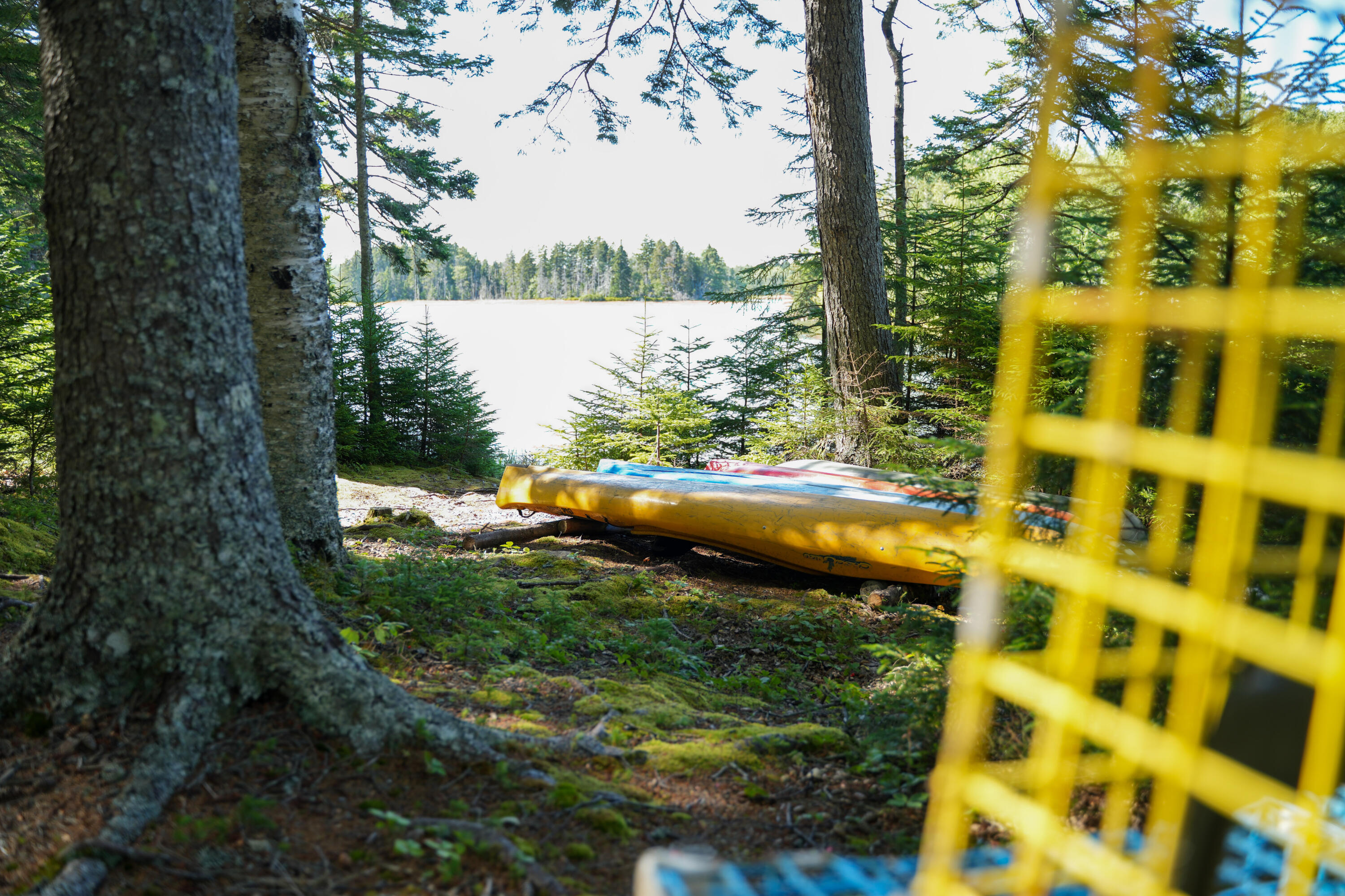 45 Missy Way Steuben ME 04680