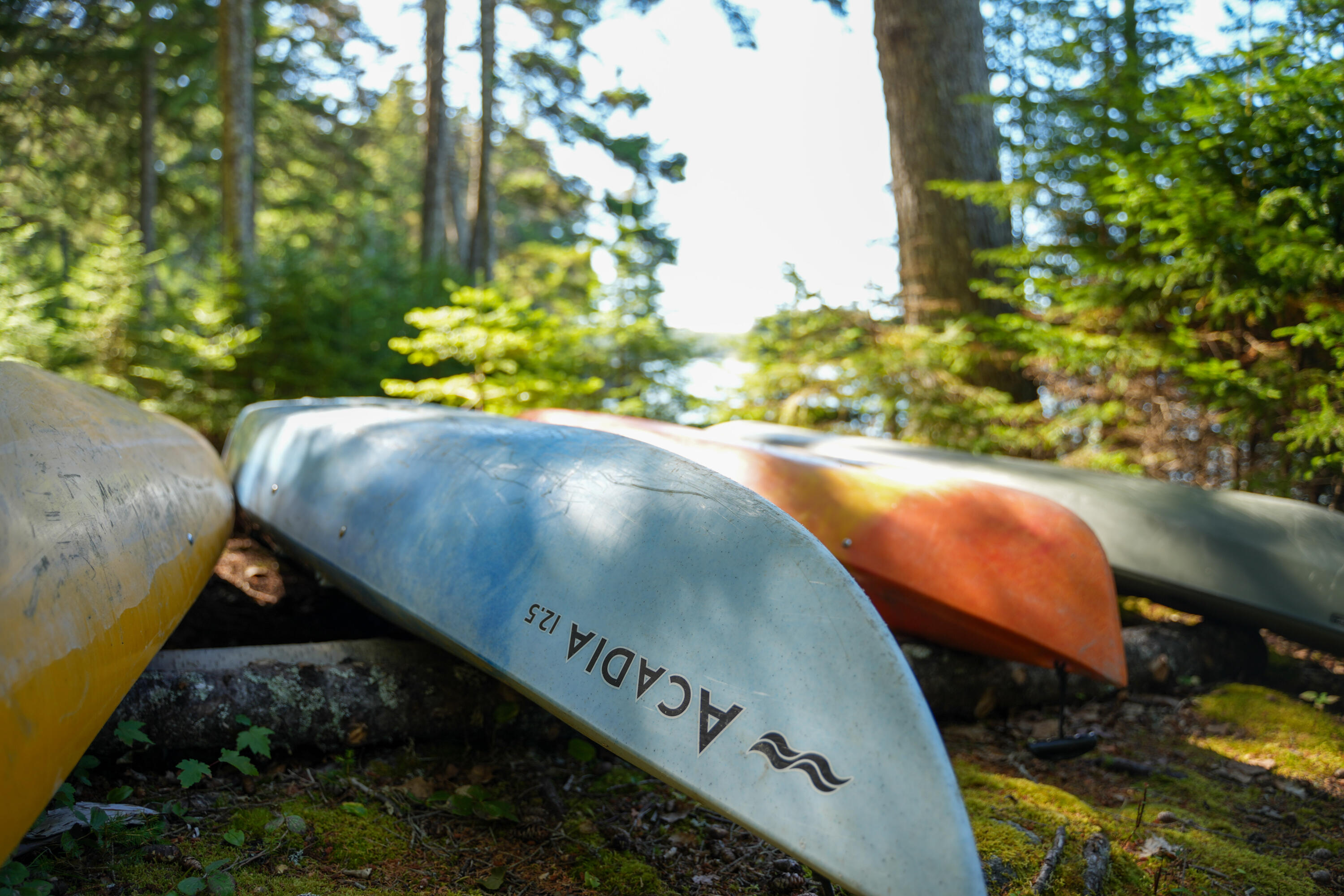 45 Missy Way Steuben ME 04680