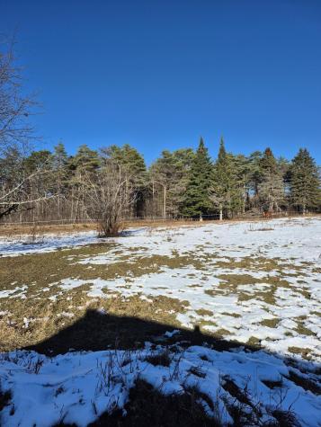 3327 Military Road Haynesville ME 04497