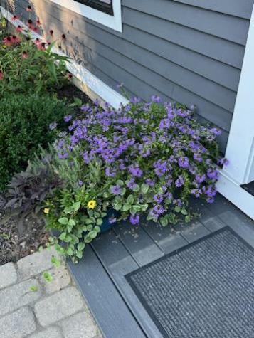 58 Libby Lane Brunswick ME 04011