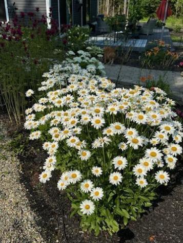 58 Libby Lane Brunswick ME 04011