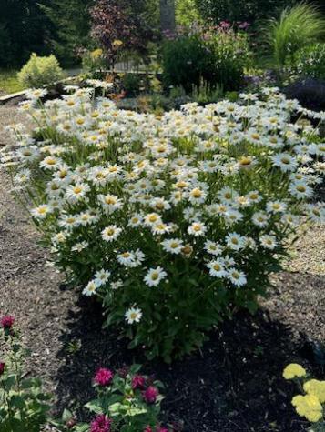 58 Libby Lane Brunswick ME 04011