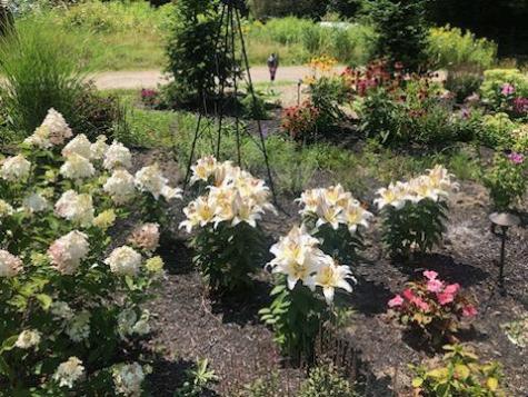 58 Libby Lane Brunswick ME 04011