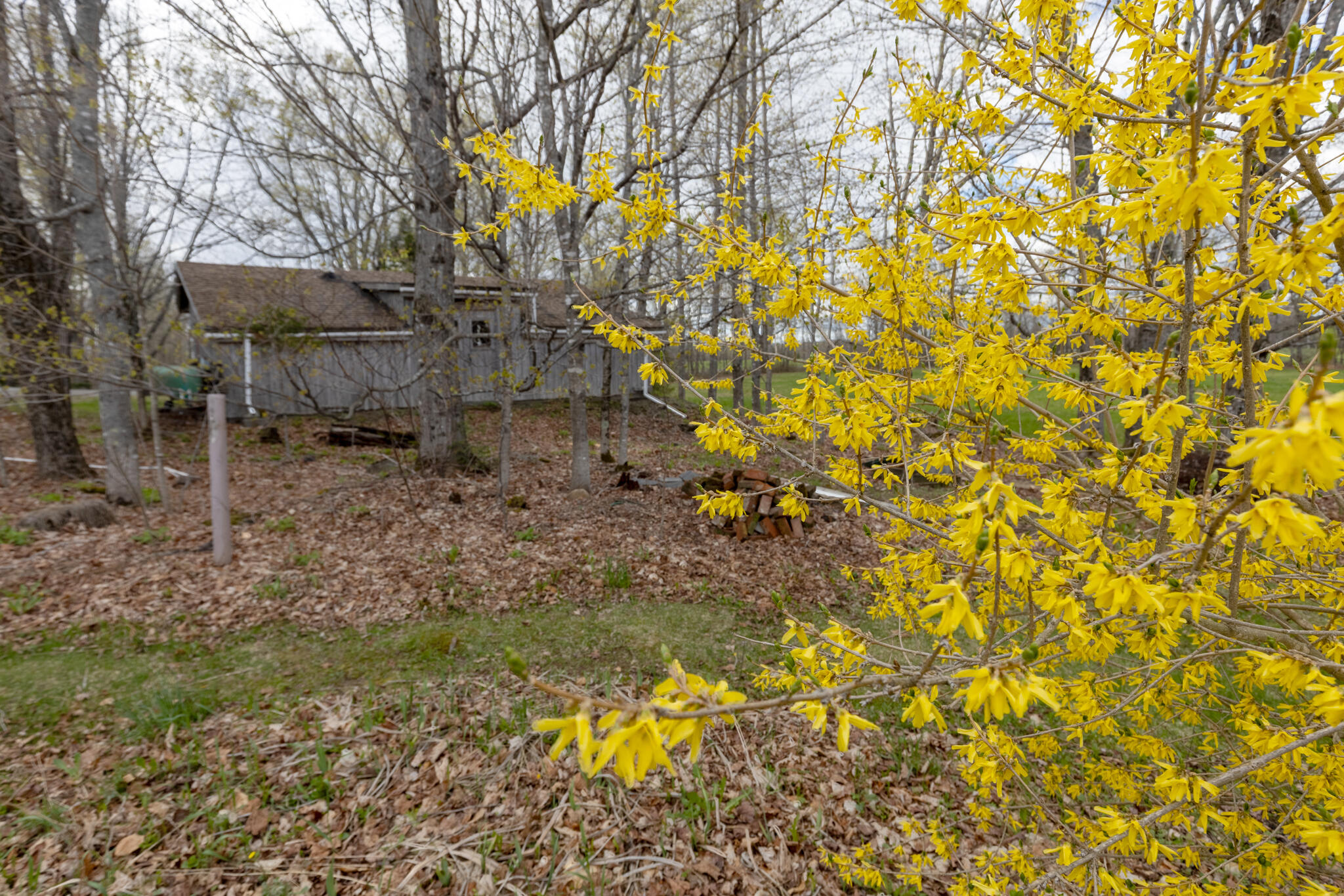 85 Norton Hill Road Dover-foxcroft ME 04426