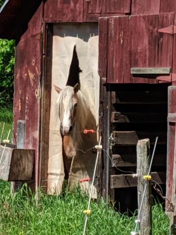 535 Oak Hill Road Standish ME 04084