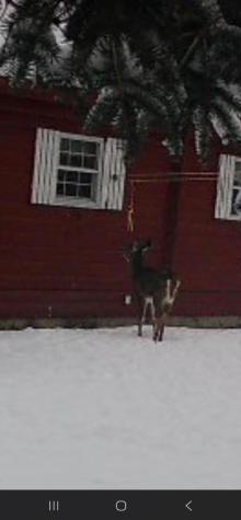 382 Wrightville Road Ashland ME 04732