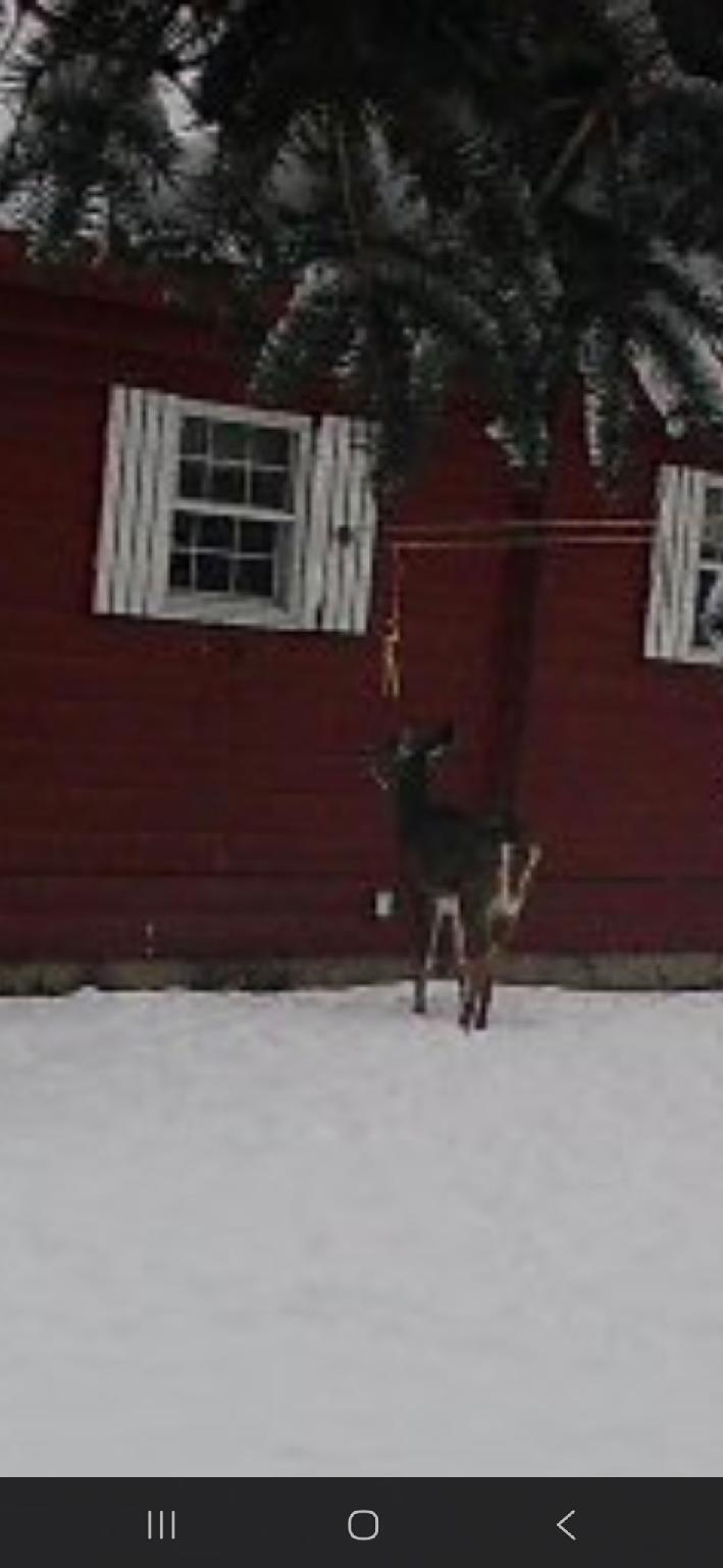 382 Wrightville Road Ashland ME 04732