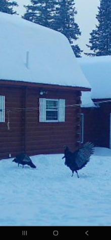 382 Wrightville Road Ashland ME 04732