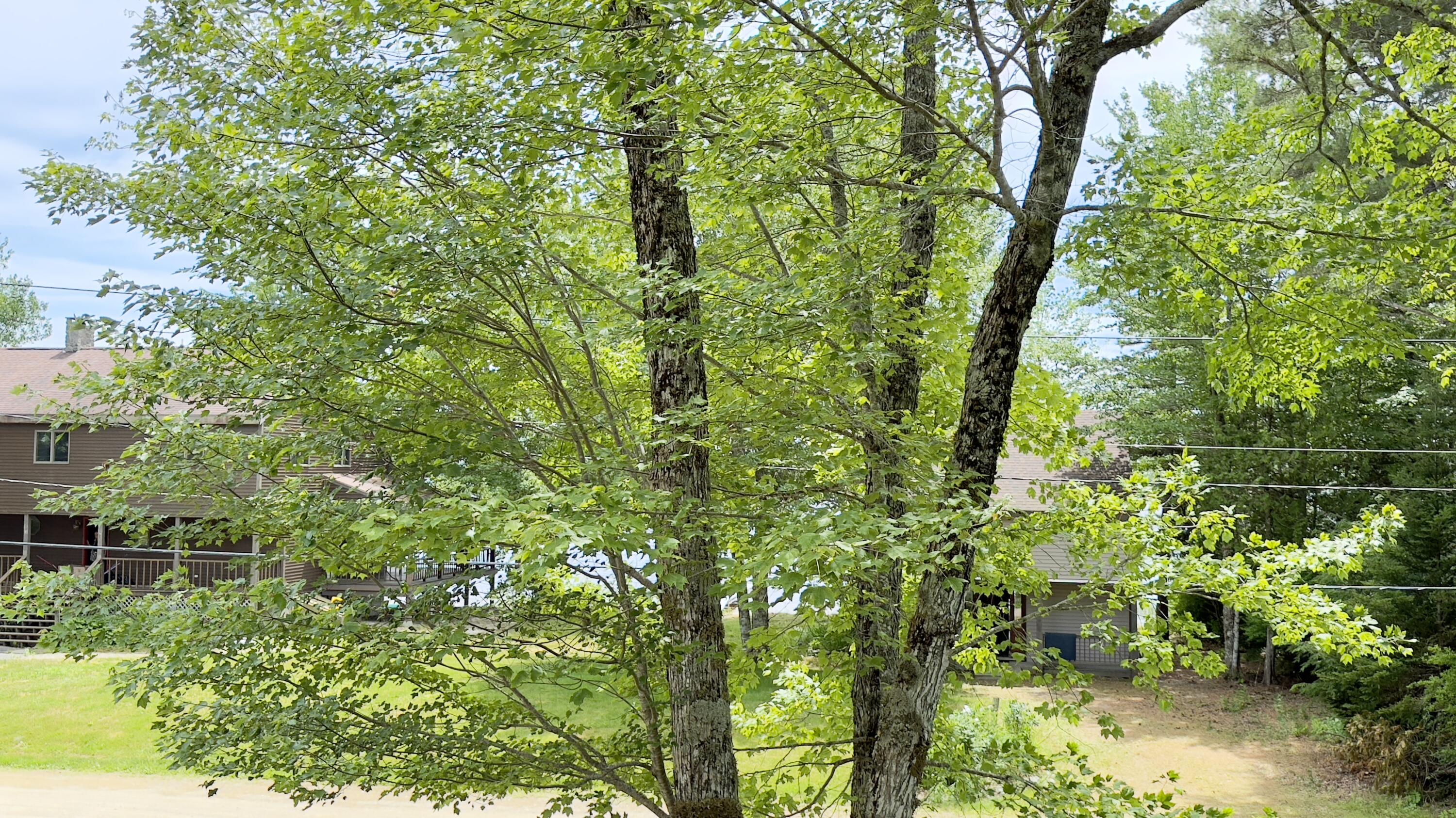 270 Grant Road Sullivan ME 04664