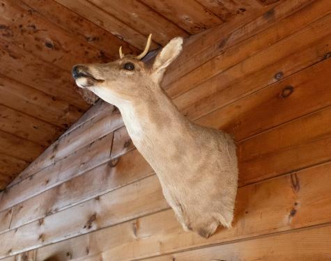 220 Eleanor Mae Road Deblois ME 04622