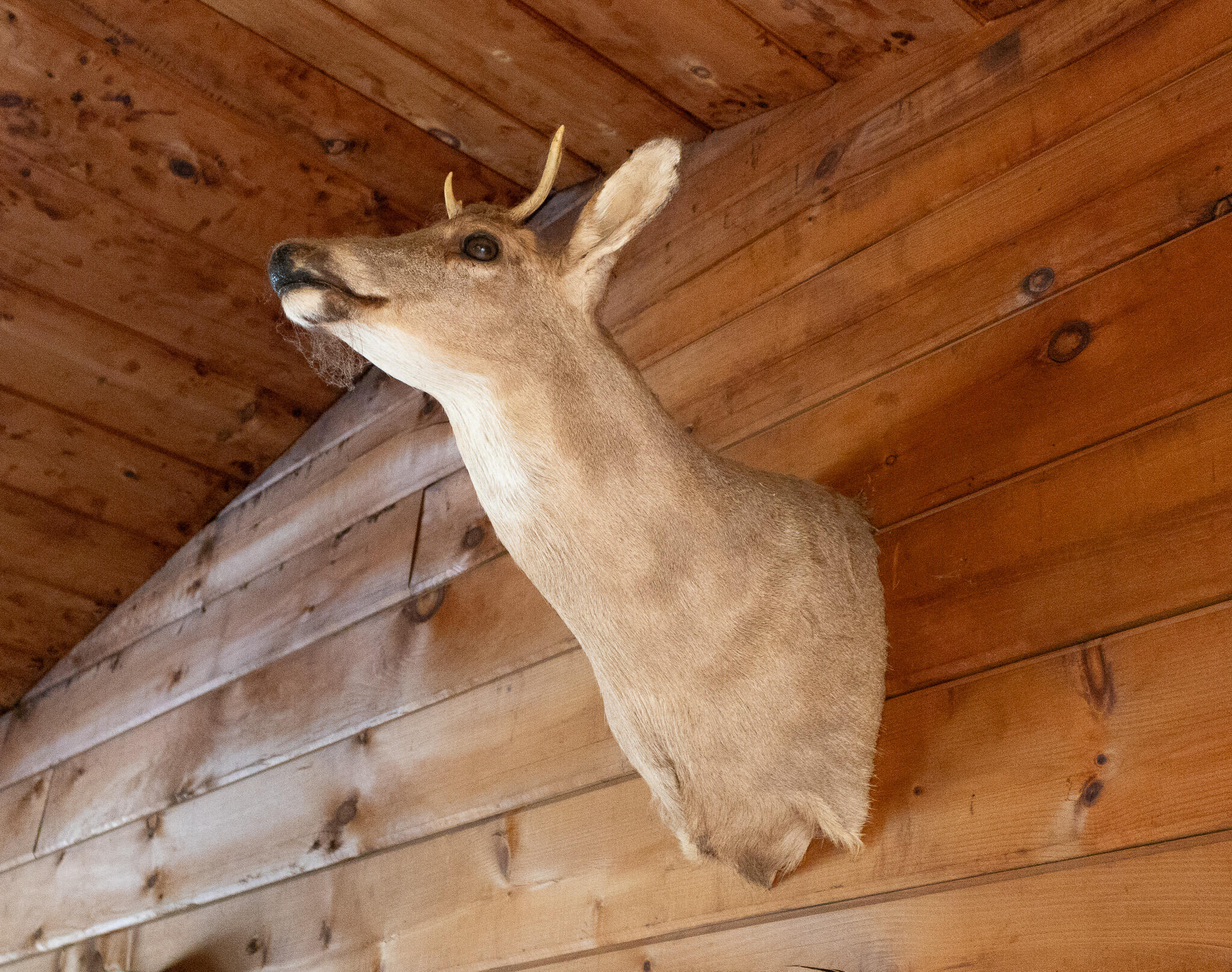 220 Eleanor Mae Road Deblois ME 04622