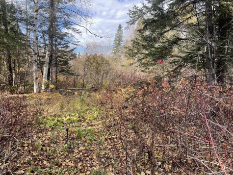 11 Martin Road Fort Fairfield ME 04742