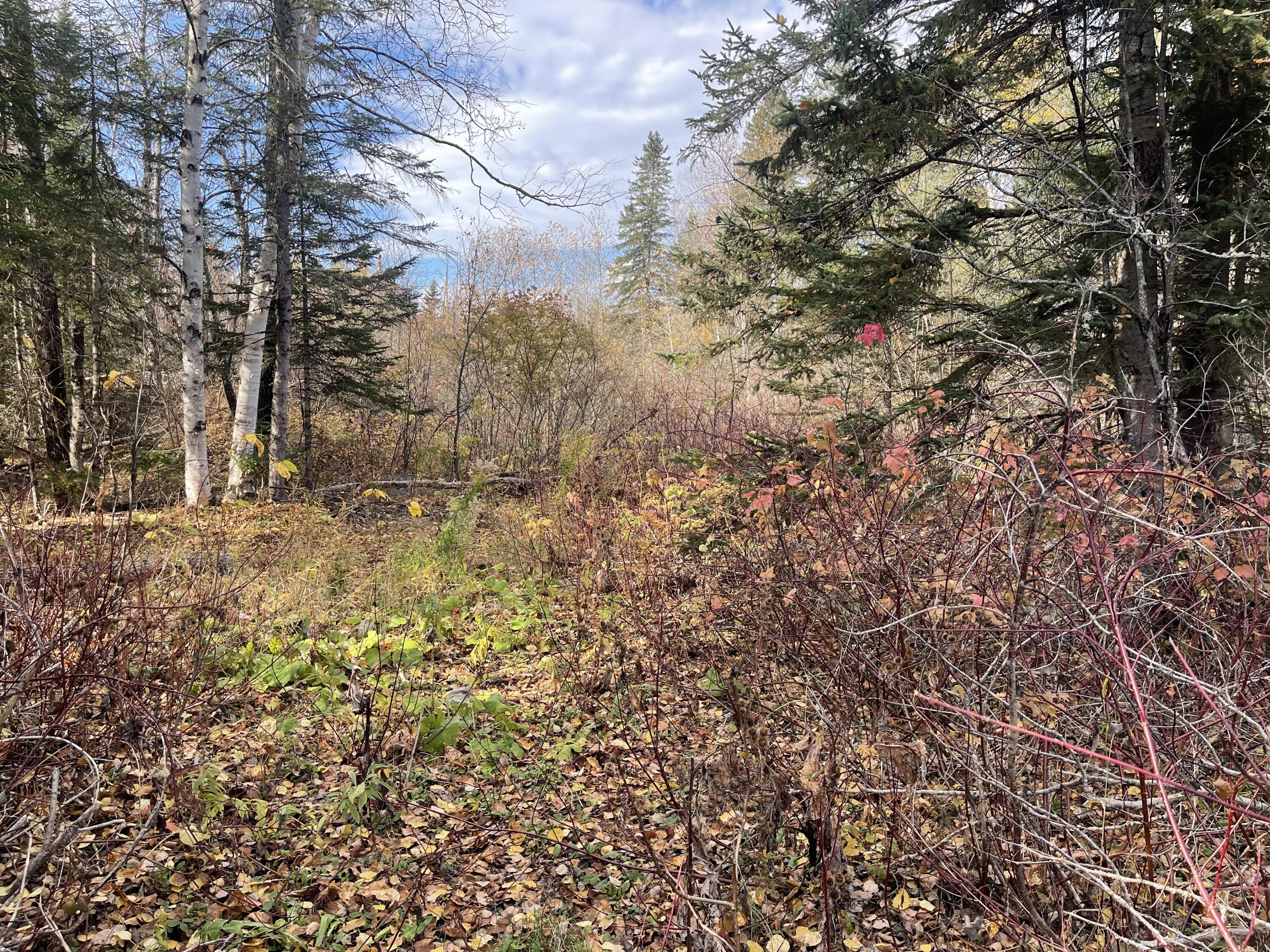 11 Martin Road Fort Fairfield ME 04742