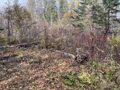 11 Martin Road Fort Fairfield ME 04742