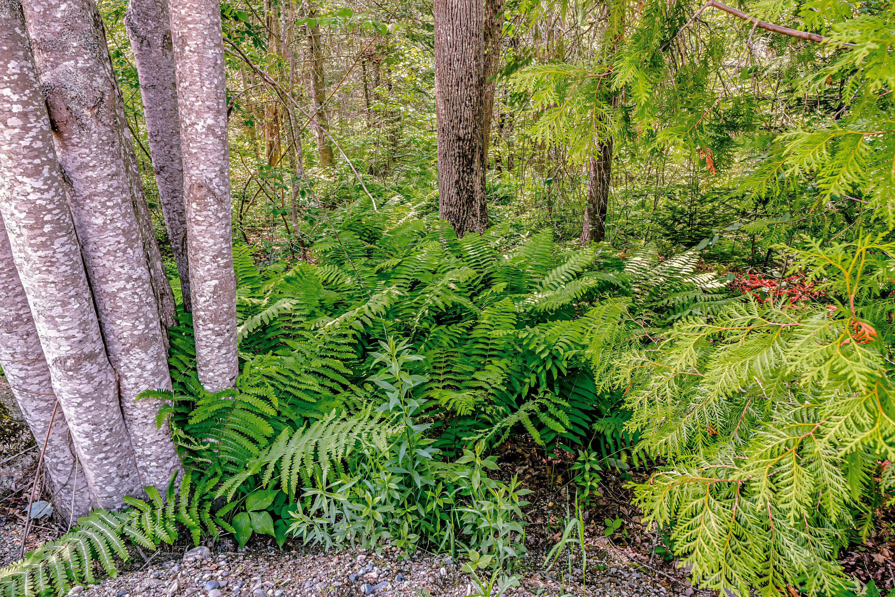 19 Bracken Lane Stockton Springs ME 04981