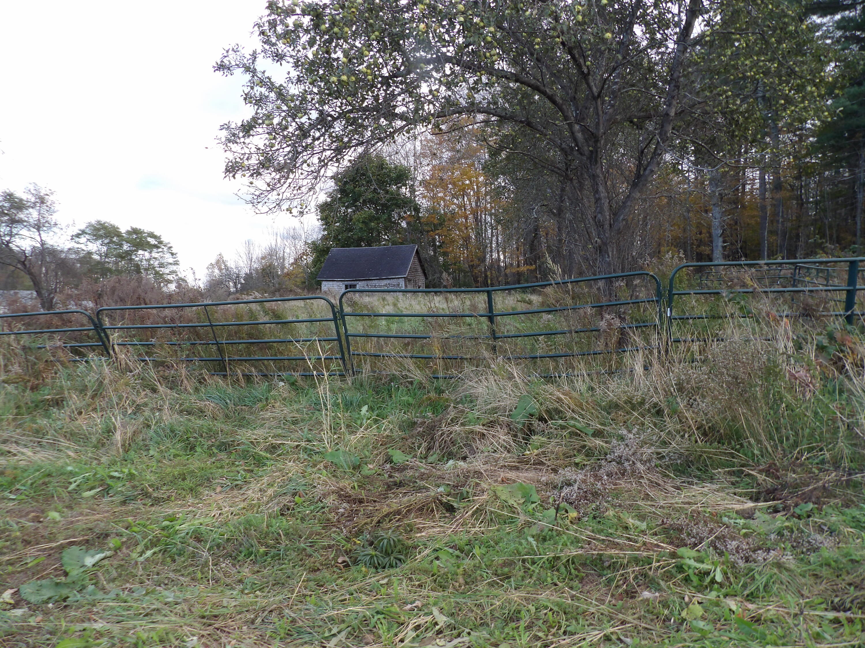 38 Atkinson Road Charleston ME 04422