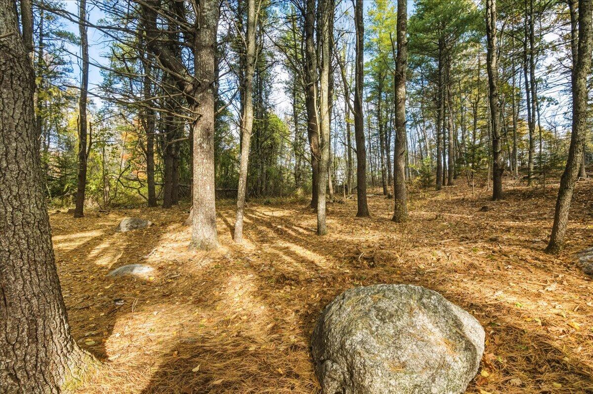 590 Range Road Blue Hill ME 04614