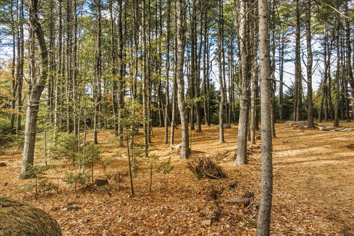 590 Range Road Blue Hill ME 04614