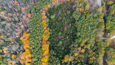 590 Range Road Blue Hill ME 04614