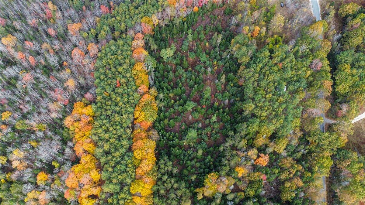 590 Range Road Blue Hill ME 04614